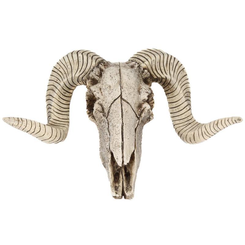 Wall Hanging Animal Skull Ornament