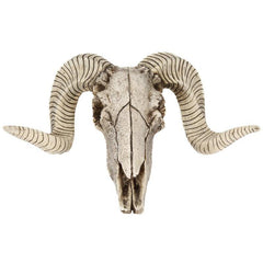 Wall Hanging Animal Skull Ornament