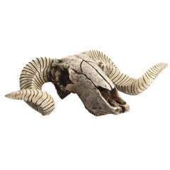Wall Hanging Animal Skull Ornament