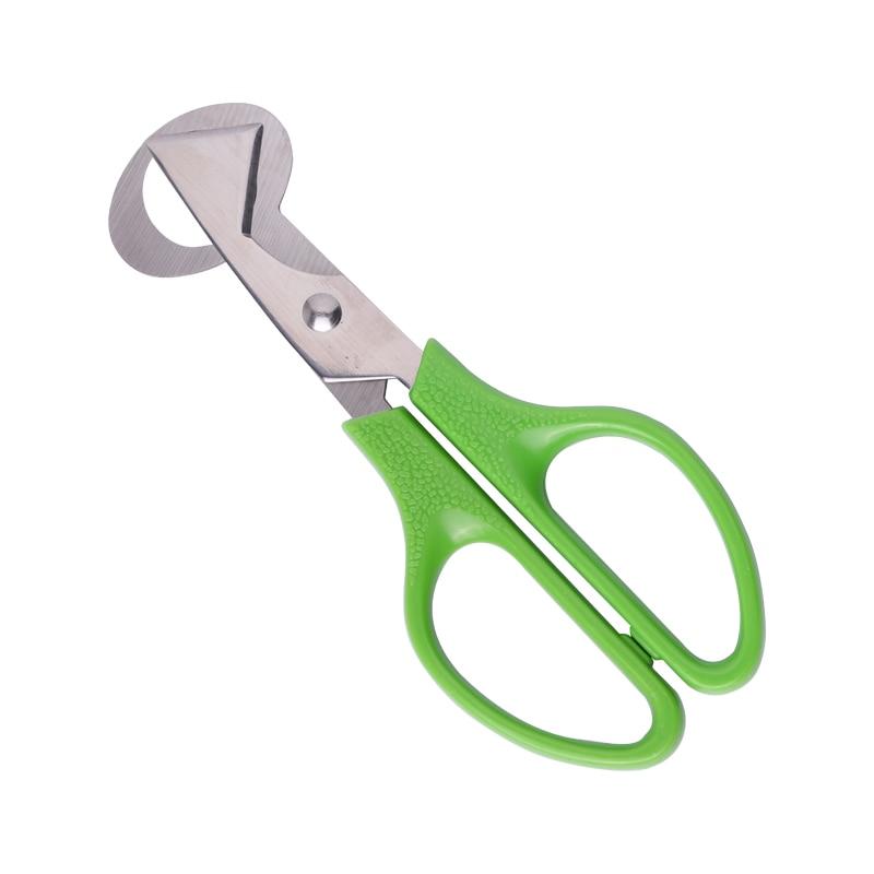 Quail Egg Scissors