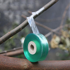 2cm x 100m Tree Grafting Tape